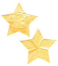 seashell five-pointed star