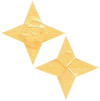 seashell four-pointed star