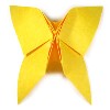 origami butterfly IV